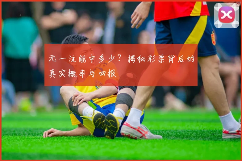 元一注能中多少？揭秘彩票背后的真实概率与回报