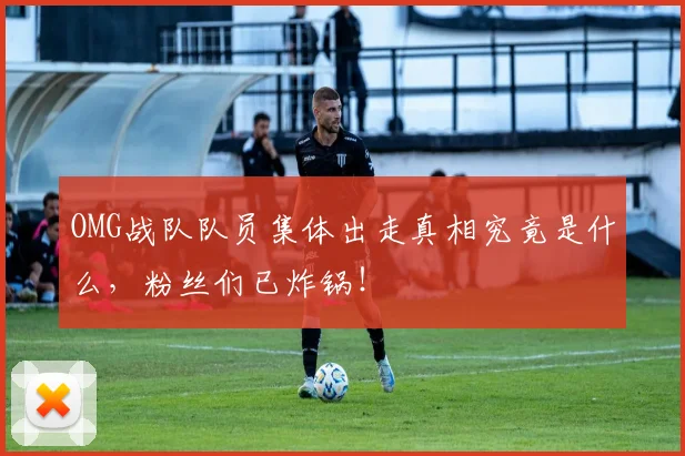 OMG战队队员集体出走真相究竟是什么，粉丝们已炸锅！