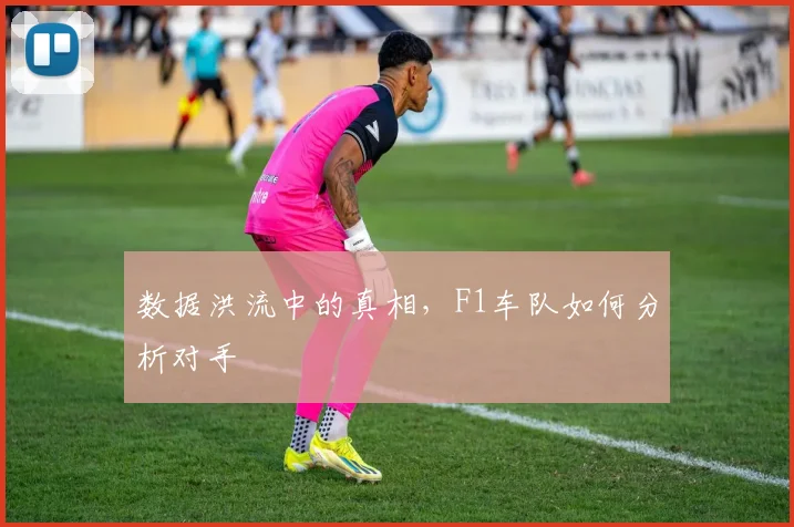 数据洪流中的真相，F1车队如何分析对手